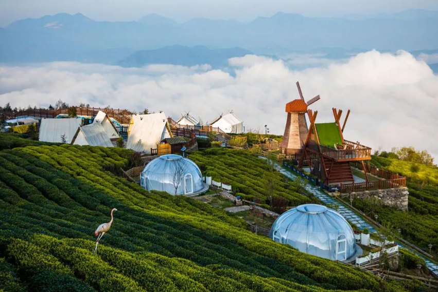 Luxury stargazing dome for resorts and glamping sites, durable and weather resistant